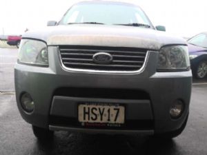 Ford Territory SY 10/2005 - 02/2008 Front Bumper Grille