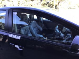 Honda Civic FK2 RF Door Glass