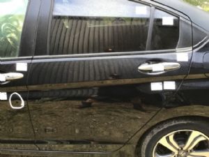 Honda Grace GM4 LR Door Shell