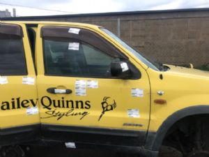 Ford Escape XLT 2009 - 2010 RF Door Elec Regulator