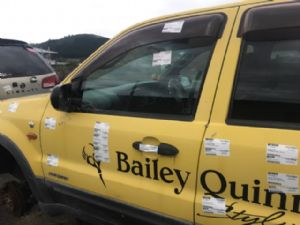 Ford Escape XLT 2009 - 2010 LF Door Shell