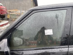 Land Rover Range Rover L405 2012-2020 LF Door Glass