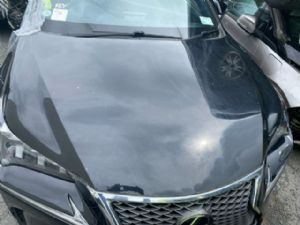 Lexus NX NX300h AYZ10 2015-2021 Bonnet