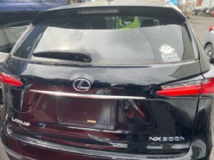Lexus NX NX300h AYZ10 2015-2021 Complete Tailgate