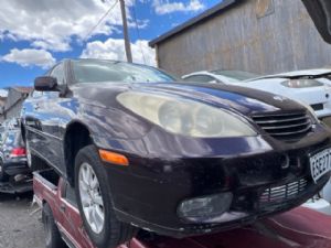 Toyota Lexus Other