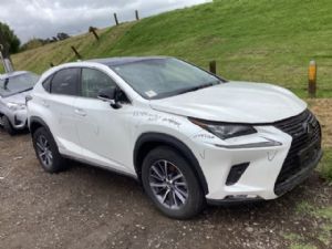 Lexus NX NX300h AYZ10 2015-2021