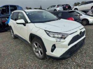 Toyota RAV4 AXAA54