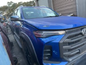 LDV T60 Off-Road 2017-on
