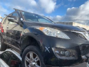 Great Wall Motors X-Series X200