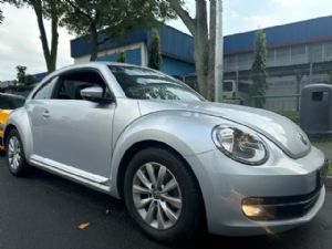 Volkswagen Beetle A5 2012-2018