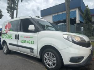 Fiat Doblo 263 2015-on