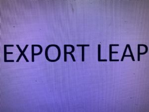 Hyundai Avante Avante 2006-2010