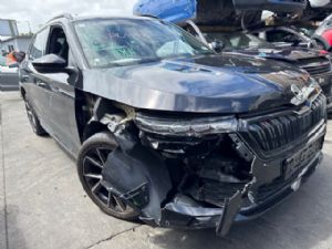 Skoda Kamiq 2019-on
