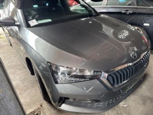 Skoda Scala 2019-on