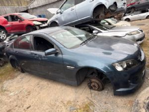 Holden Commodore VS 04/95-08/97