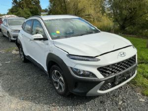 Hyundai Kona K381