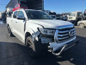 Great Wall Motors Cannon 2021-on