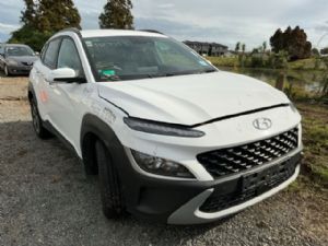Hyundai Kona K381