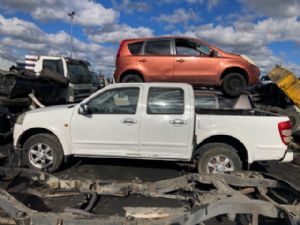 Great Wall Motors V-Series V200