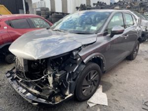 Nissan Qashqai J12 2022-2026