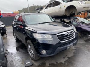 Hyundai Santa Fe SH81 2006-2012
