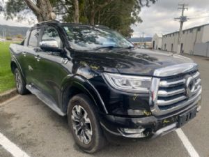 Great Wall Motors Cannon 2021-on