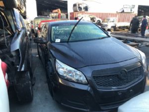 Holden Commodore Other