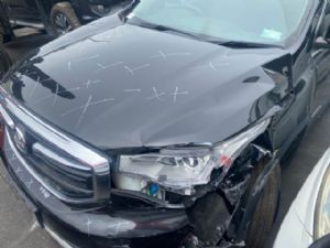 Holden Acadia C1 2017-on