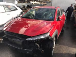 Hyundai Kona EV 2017-Present