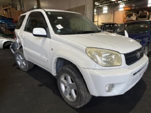 Toyota RAV4 ACA20 07/00-08/03
