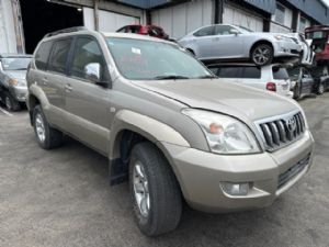 Toyota Prado KDJ120 11/06-10/09