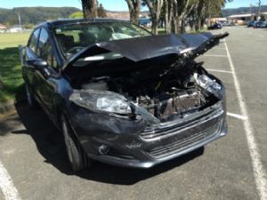 Ford Fiesta WT 2010 -