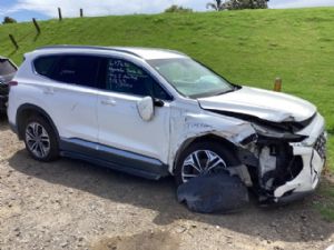 Hyundai Santa Fe HS381 2004-on