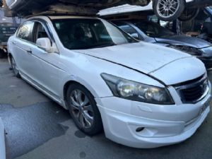 Honda Accord CP3