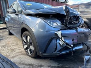 BYD Dolphin 2021-on