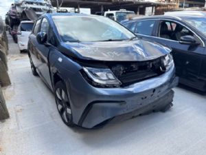 BYD Dolphin 2021-on