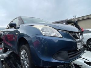 Suzuki Baleno Other