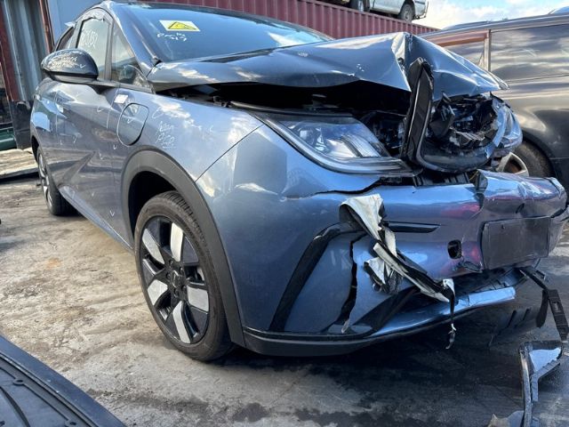 BYD Dolphin 2021-on