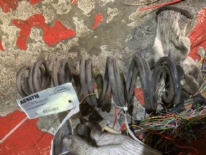 Citroen DS3 DS3 2009-2016 LR Coil Spring