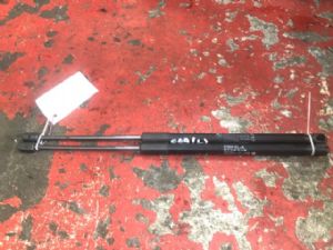 BMW Z Series Z4 Bonnet Gas Struts (Set)