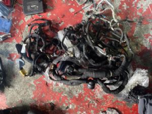 Land Rover Discovery Sport L550 2016-2018 Engine Wiring Loom