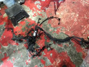 BMW M3 Other Engine Wiring Loom