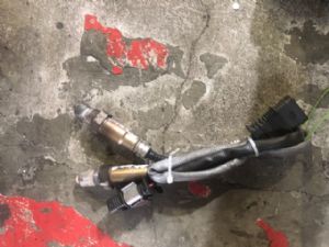 BMW 428i F32 2013 - 2016 Exhaust Oxy Sensor