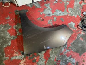 Renault Scenic III 2012-2015 LF Guard/Fender