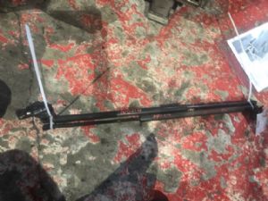 Renault Scenic III 2012-2015 Tailgate Struts (Set)