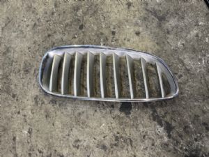 BMW Z Series E89 Z4 E89 2009-2016 RH Grille