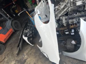 Porsche Panamera 970 2013-2016 LF Guard/Fender