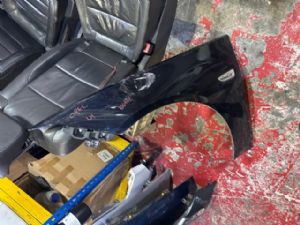 Opel Insignia Z18 2017-2020 LF Guard/Fender