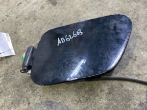Polestar Polestar 2 2019-2023 Fuel Filler Pipe Cover