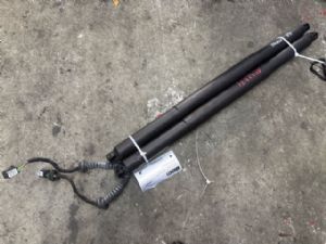 Polestar Polestar 2 2019-2023 Tailgate Struts Set (Self Opening)